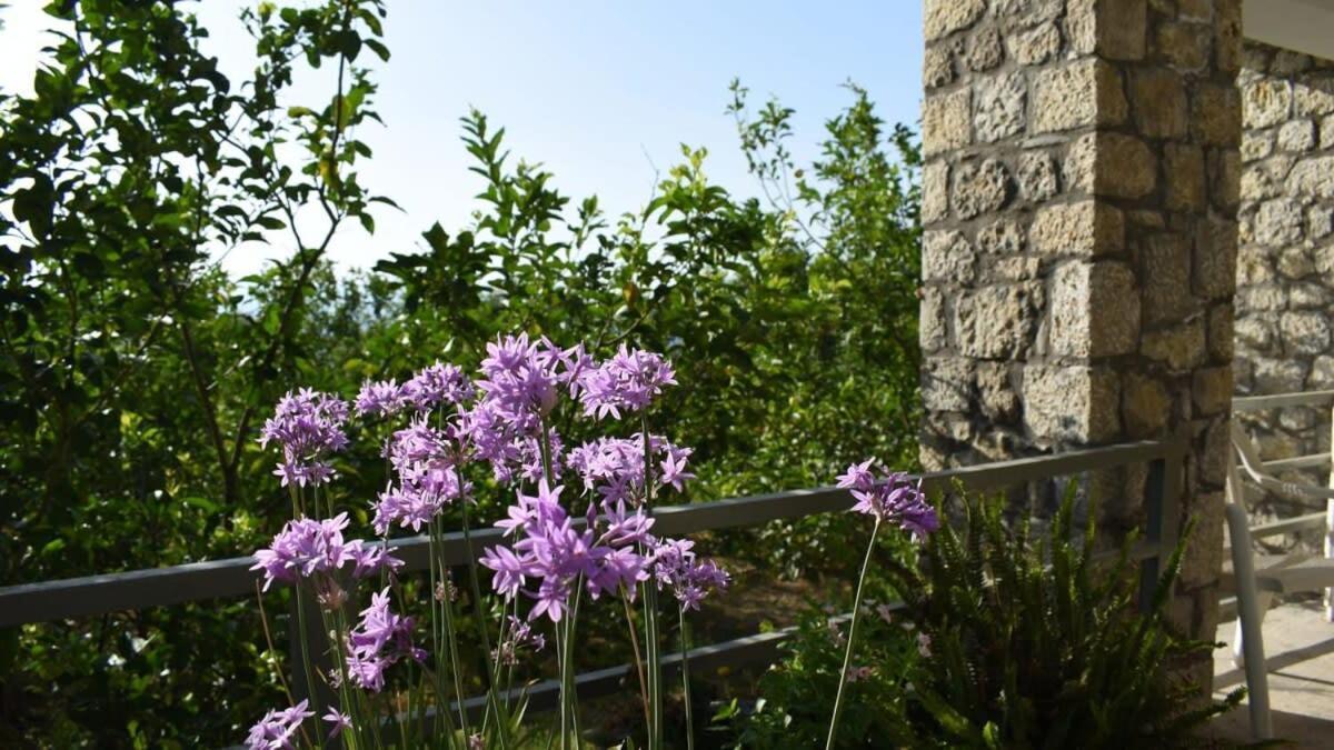 Coastal Stone Hideaway With Stunning Scenery Villa Kitriaí Dış mekan fotoğraf